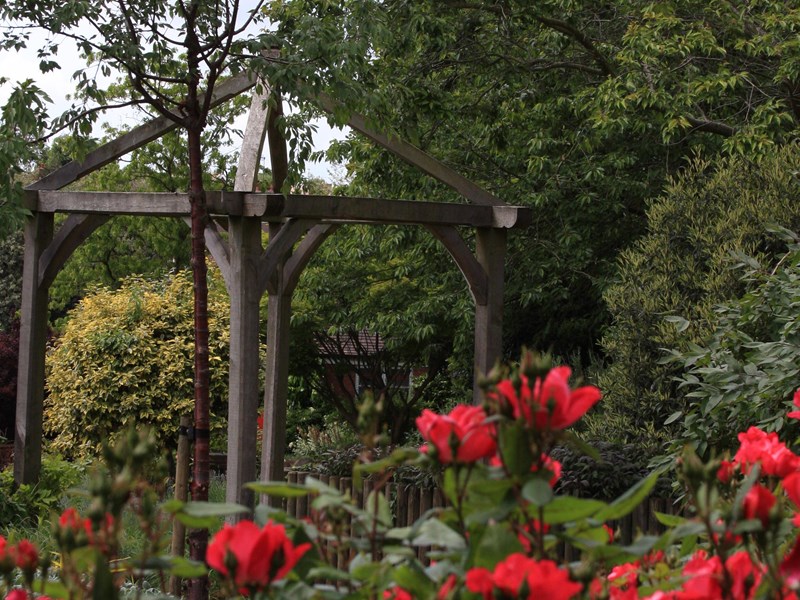 Red and orange flowers with trees and pergola behind