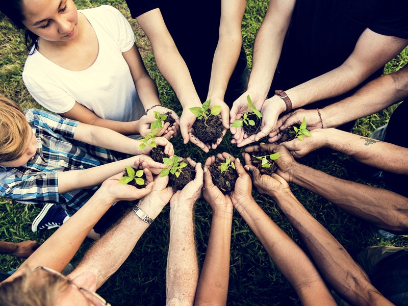 9 pairs of hands hold seedlings