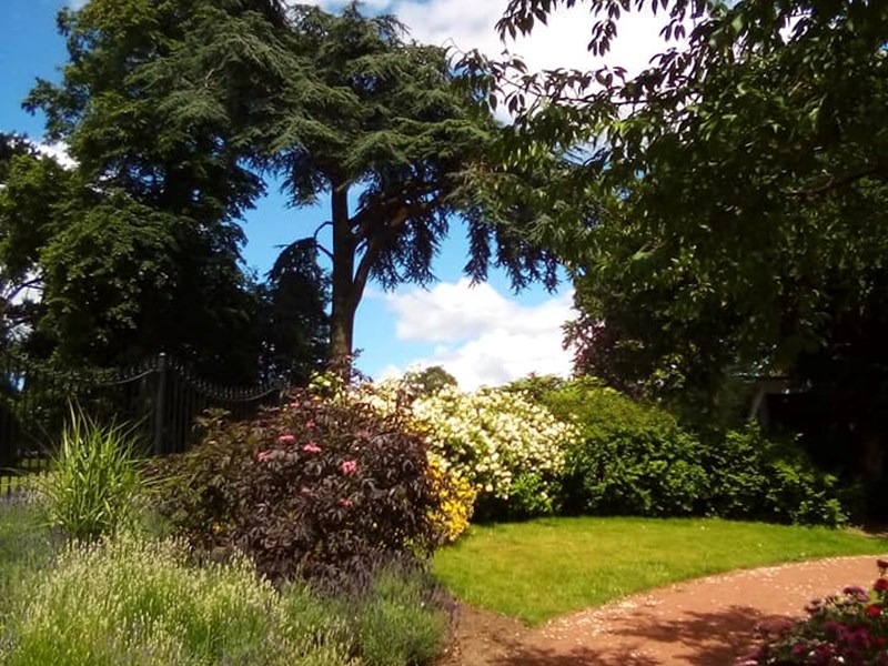Gravel path edged either side with grass, large trees proving shaded areas