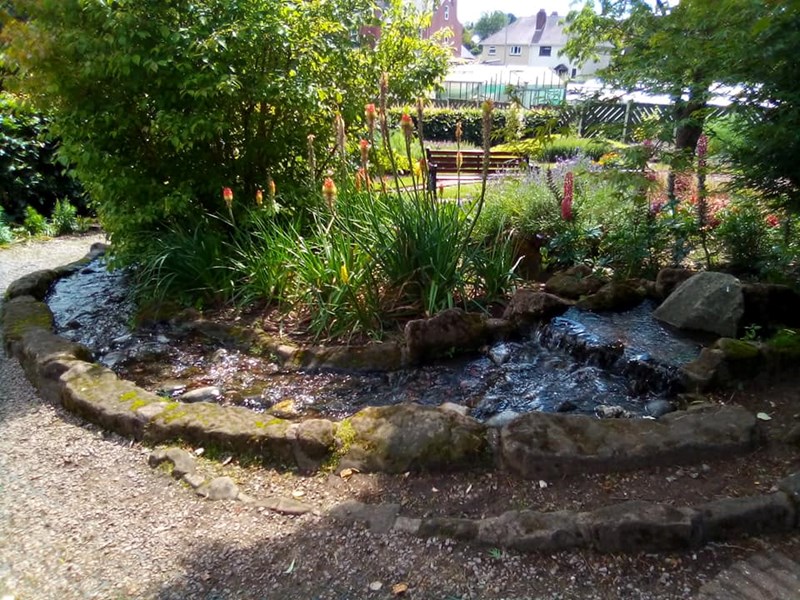 Water flowing down rock pool surrounded by flowers