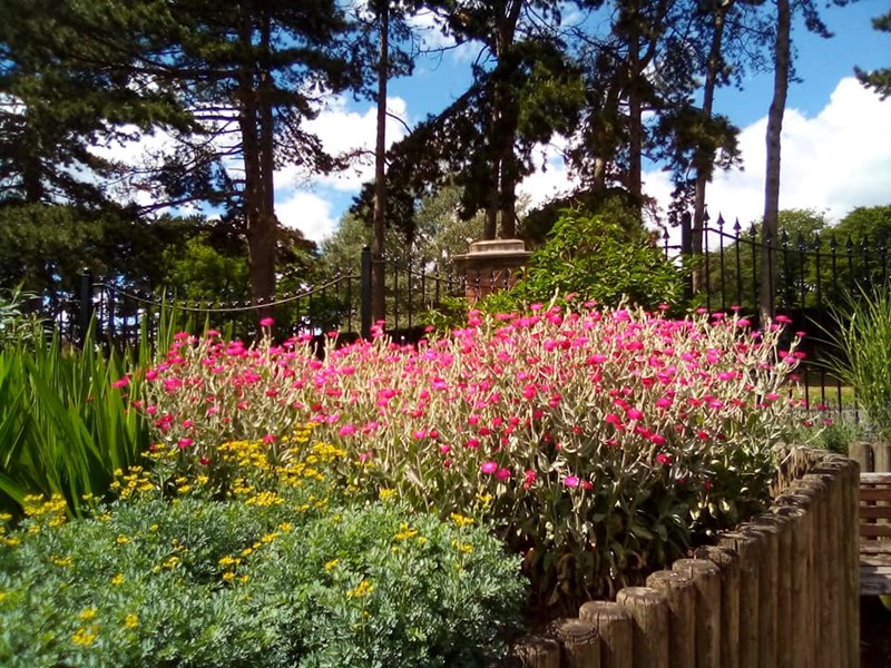 Planted flowering area with tall mature trees proving shade for the seating area