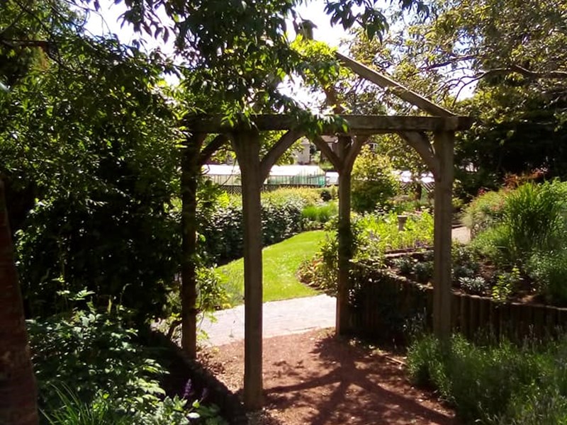 Pergola with mature shrubs either side of a gravel pathway